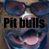 pitbulls